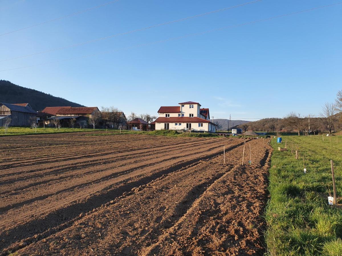 Apartmani Fenestra Tesla I Faust Otočac Dış mekan fotoğraf
