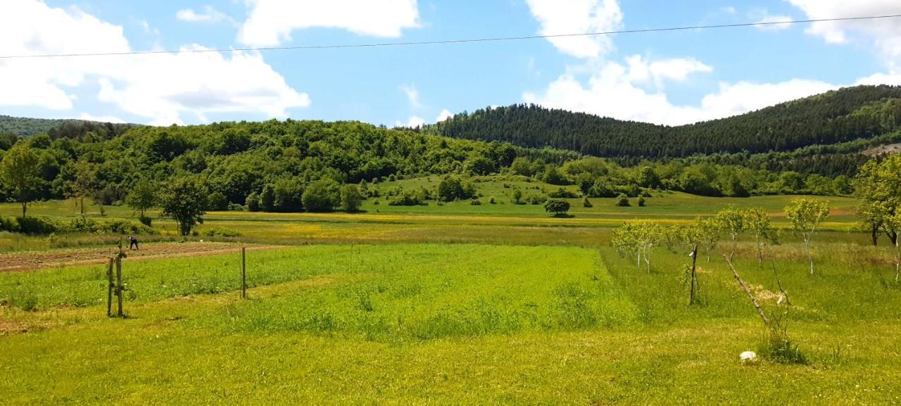 Apartmani Fenestra Tesla I Faust Otočac Dış mekan fotoğraf